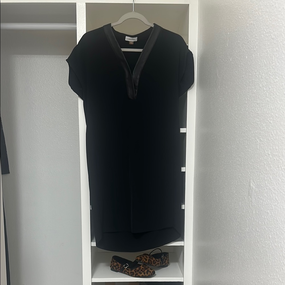 Calvin Klein Black Dress (Worm Once)